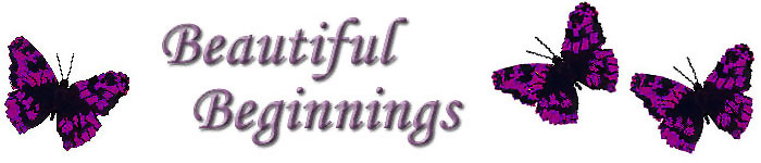 Beautiful Beginnings